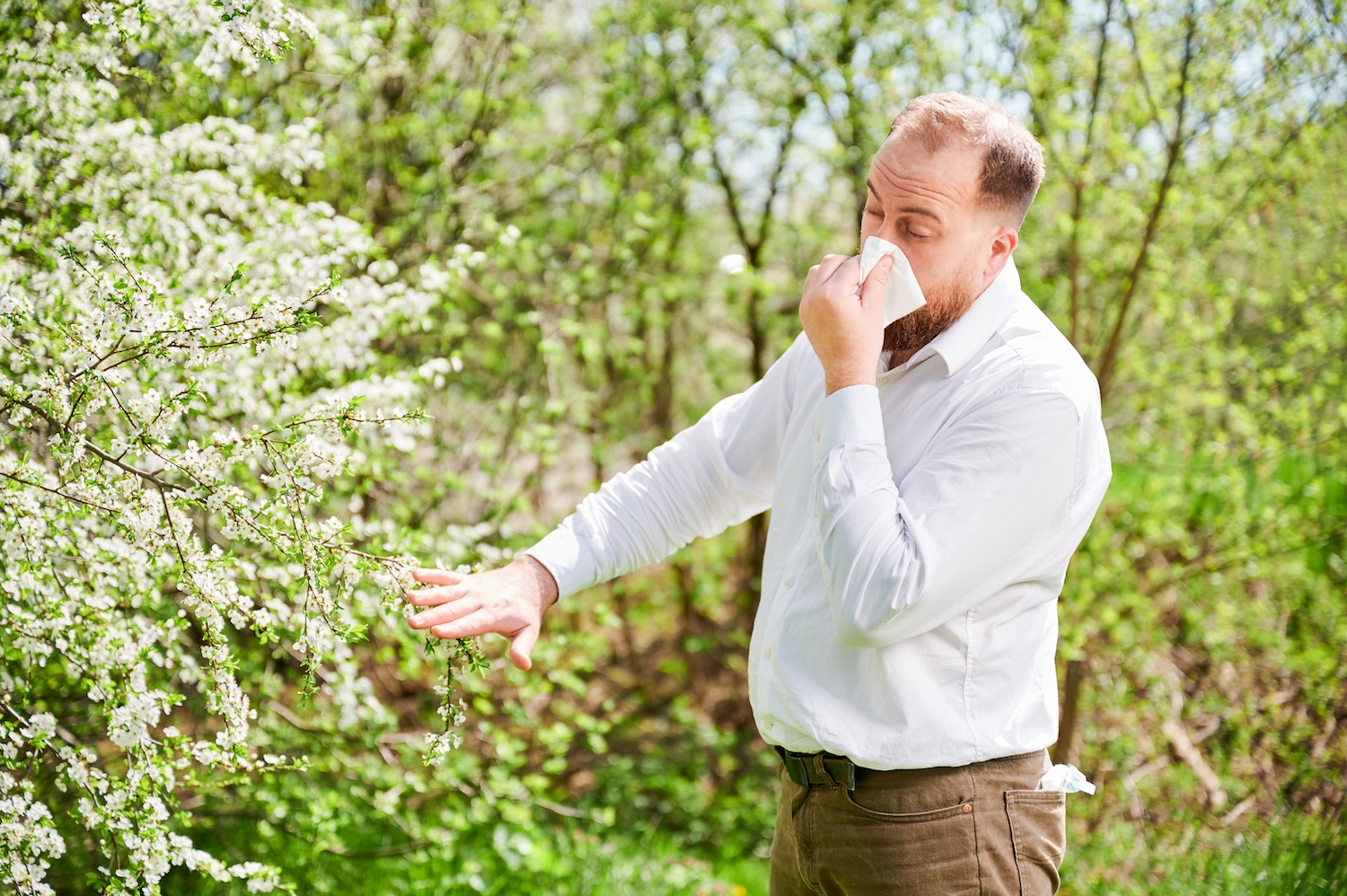 Boggio Pharmacies Allergy Relief